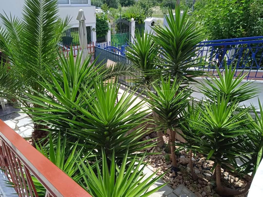 Blue Moon Apartments Nea Michaniona Chambre photo